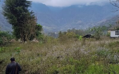 Del Campo a tu Taza: El Viaje Sensorial de Nuestro Café de Especialidad