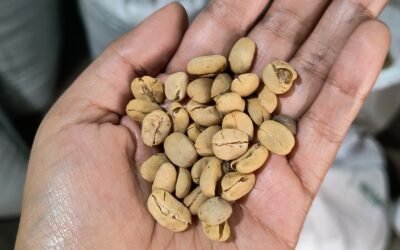 Trazabilidad y valor de origen.