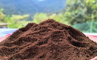 Frescura prolongada: El enemigo es el aire
