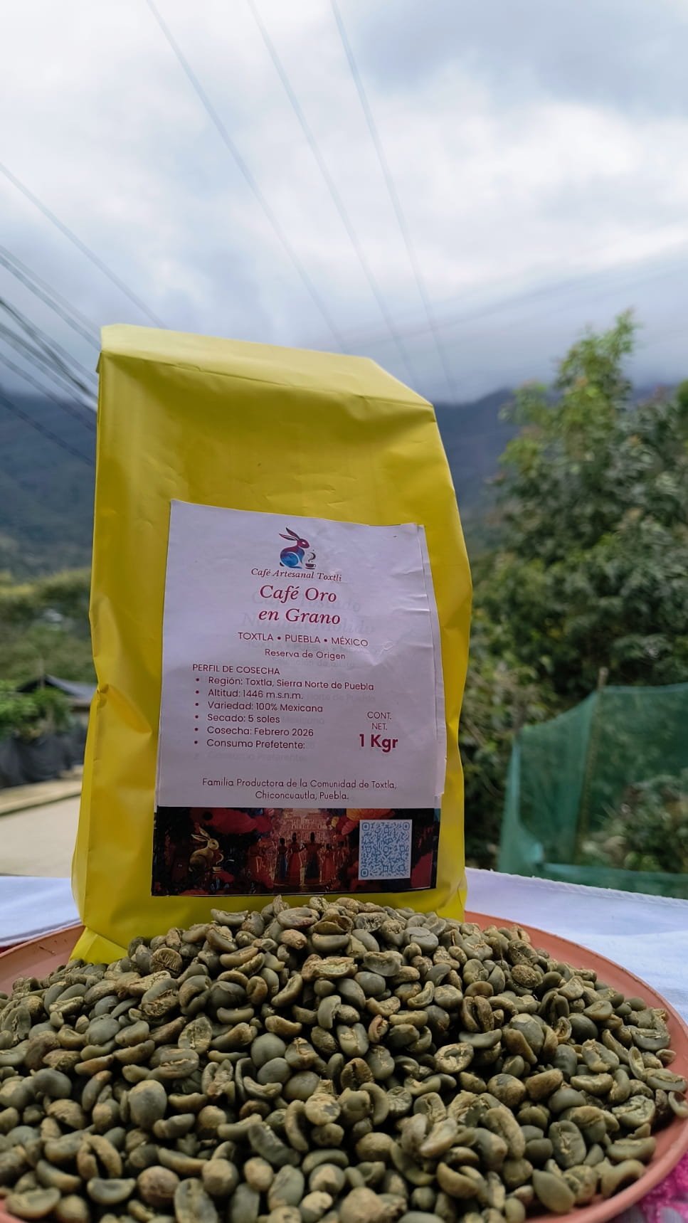 Café Oro - 5kg