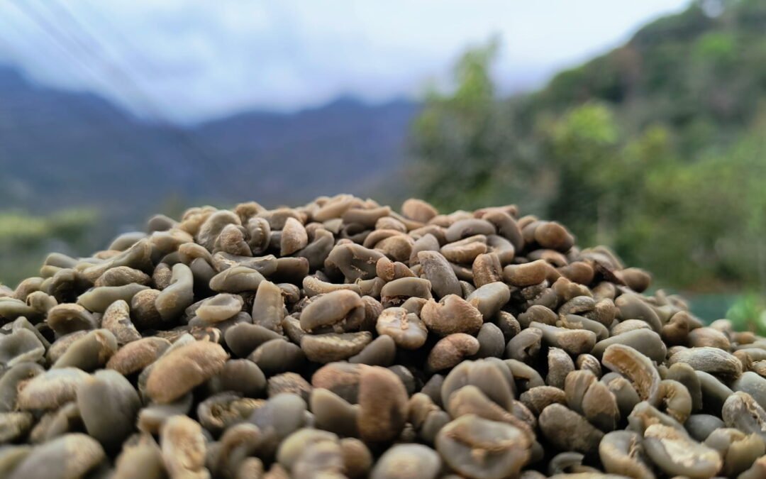 Café de Especialidad: Un refugio de valor en el mercado actual