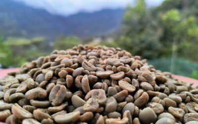 Del campo a tu mesa: El valor del comercio justo en Puebla.