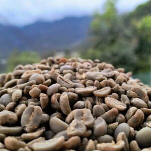 Café Oro - 5kg - Image 3