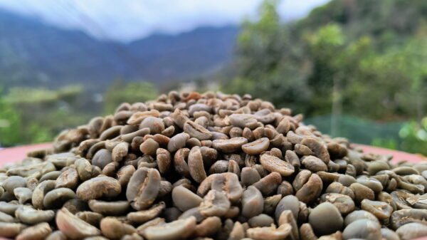 Café Oro - 5kg
