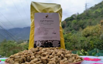 Logística del Café: Protegiendo el grano durante el transporte