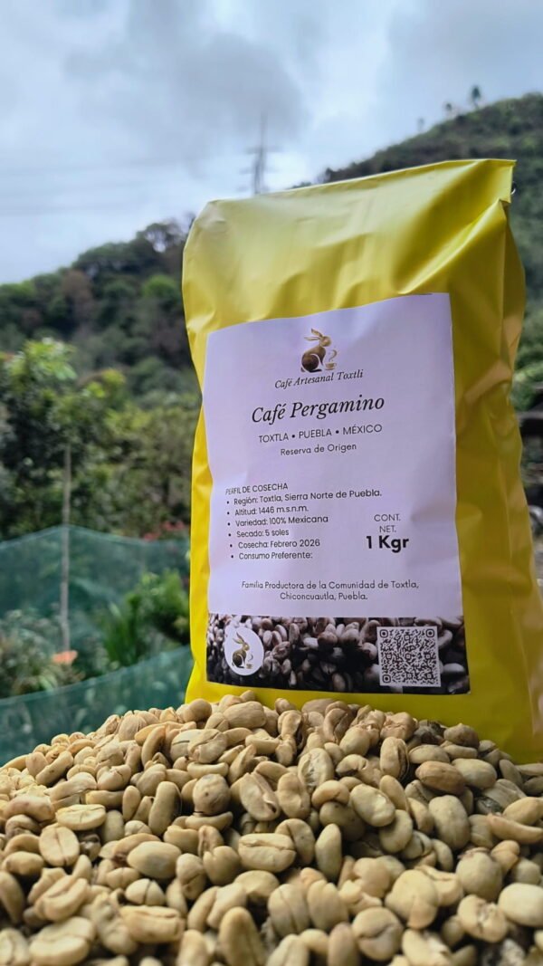 Café Pergamino - 5kg