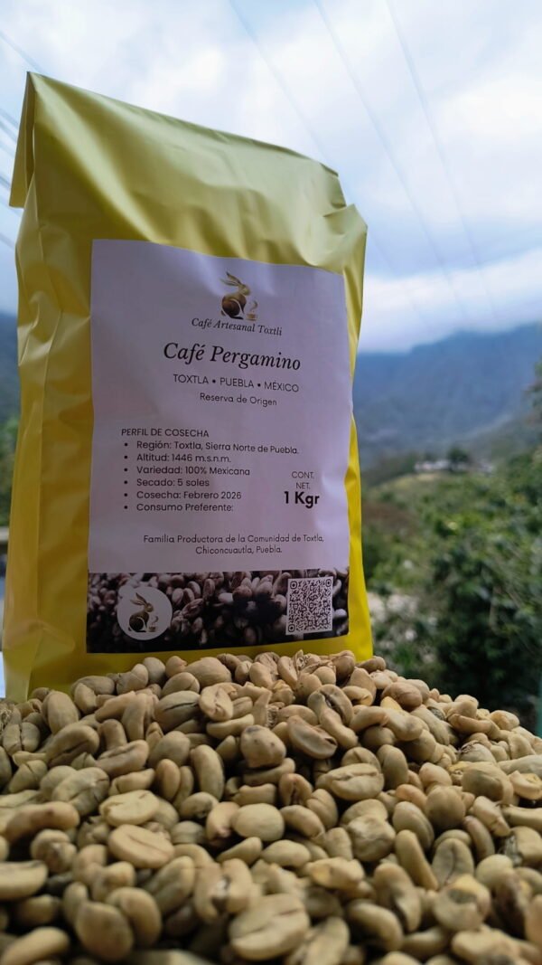 Café Pergamino - 5kg