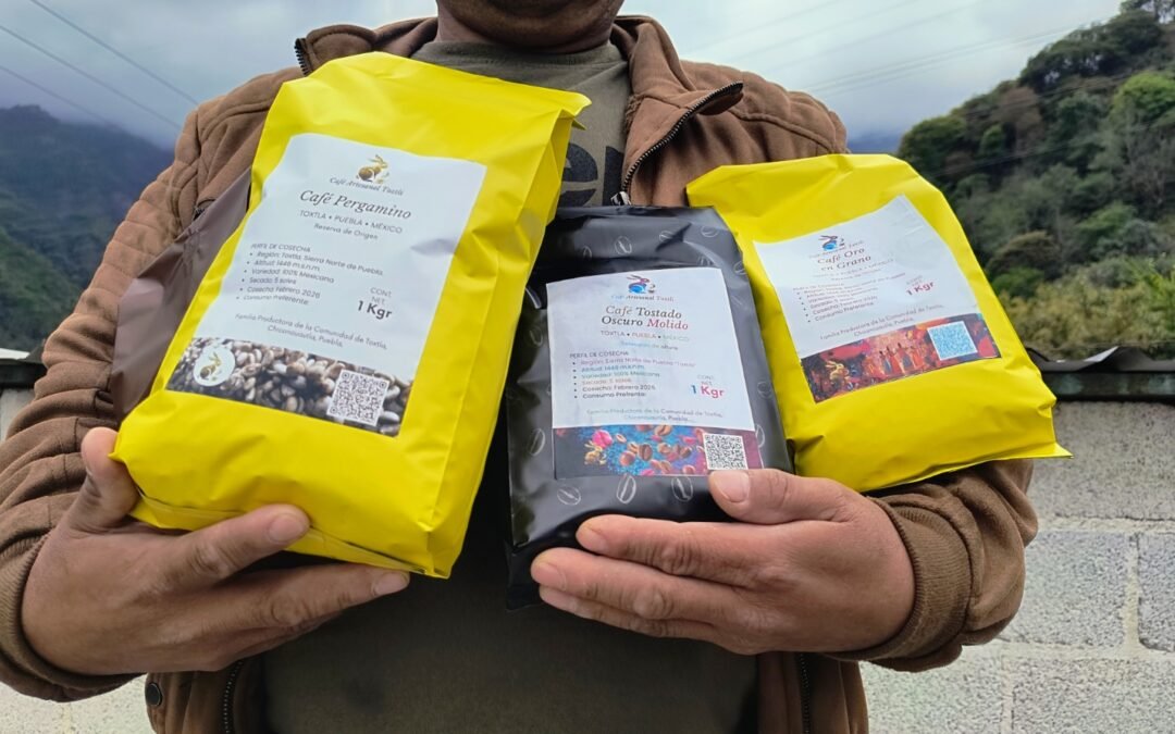 Compromiso con el Origen: El Valor Humano Detrás de Cada Grano