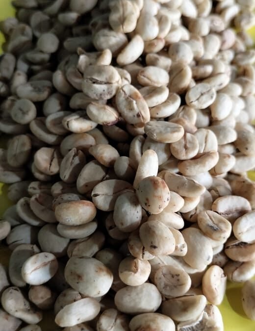 Café Pergamino de 5 kg: Guía de Rentabilidad para Productores