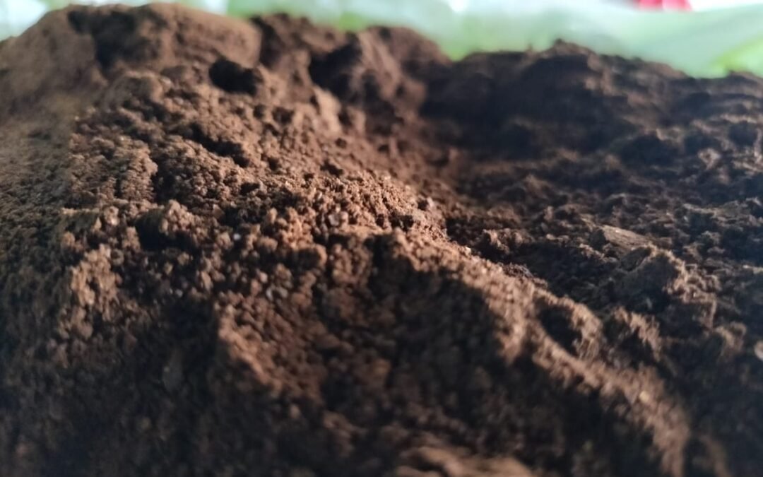 La guía definitiva para disfrutar un café tostado medio