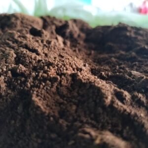 Café Tostado Normal Molido – 250gr