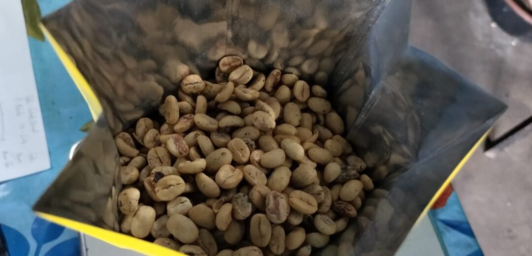 Cómo Calcular el Rendimiento de tu Café Pergamino