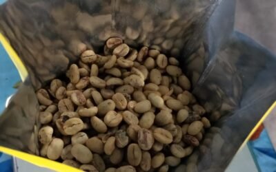 Cómo Calcular el Rendimiento de tu Café Pergamino