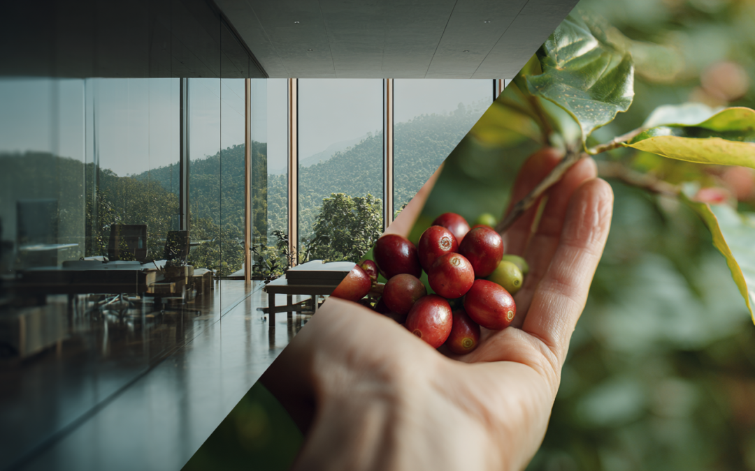 Del campo a tu hogar: El valor de lo artesanal