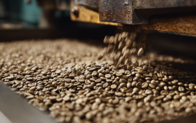 Maximiza tu inversión: Rendimiento del café pergamino