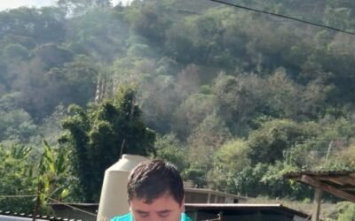 Diferenciación artesanal vs. industrial.