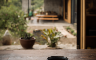 Métodos de extracción ideales para Café Tostado Medio | Toxtli