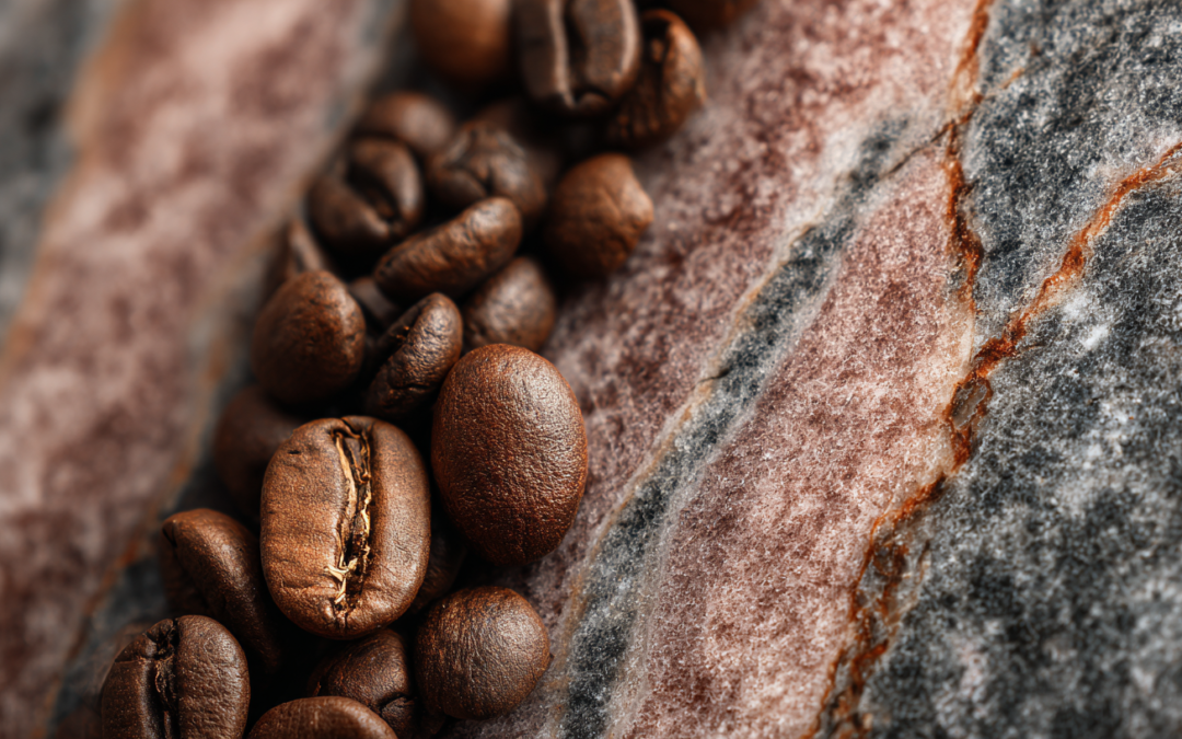 Café Pergamino: El Eslabón de Oro para Productores y Tostadores