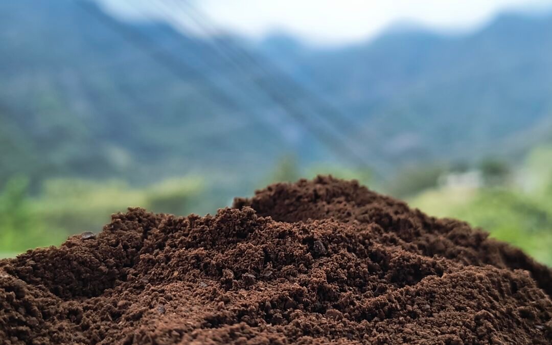 Guía de moliendas: ¿Cómo pedir tu café según tu cafetera?