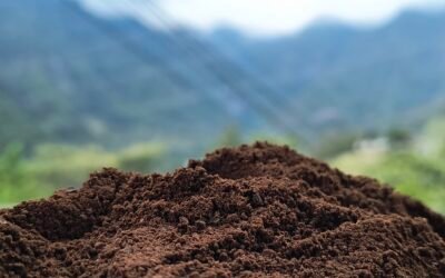 Guía de moliendas: ¿Cómo pedir tu café según tu cafetera?
