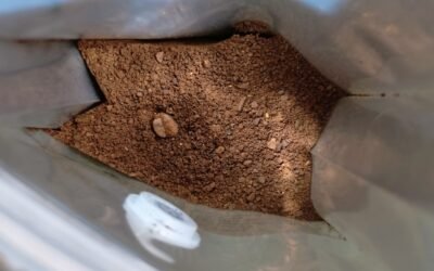 El arte de la paciencia: ¿Por qué el café artesanal toma su tiempo?