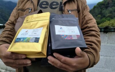 Gracias por Cada Taza Compartida: Café Artesanal Toxtli Se Transforma